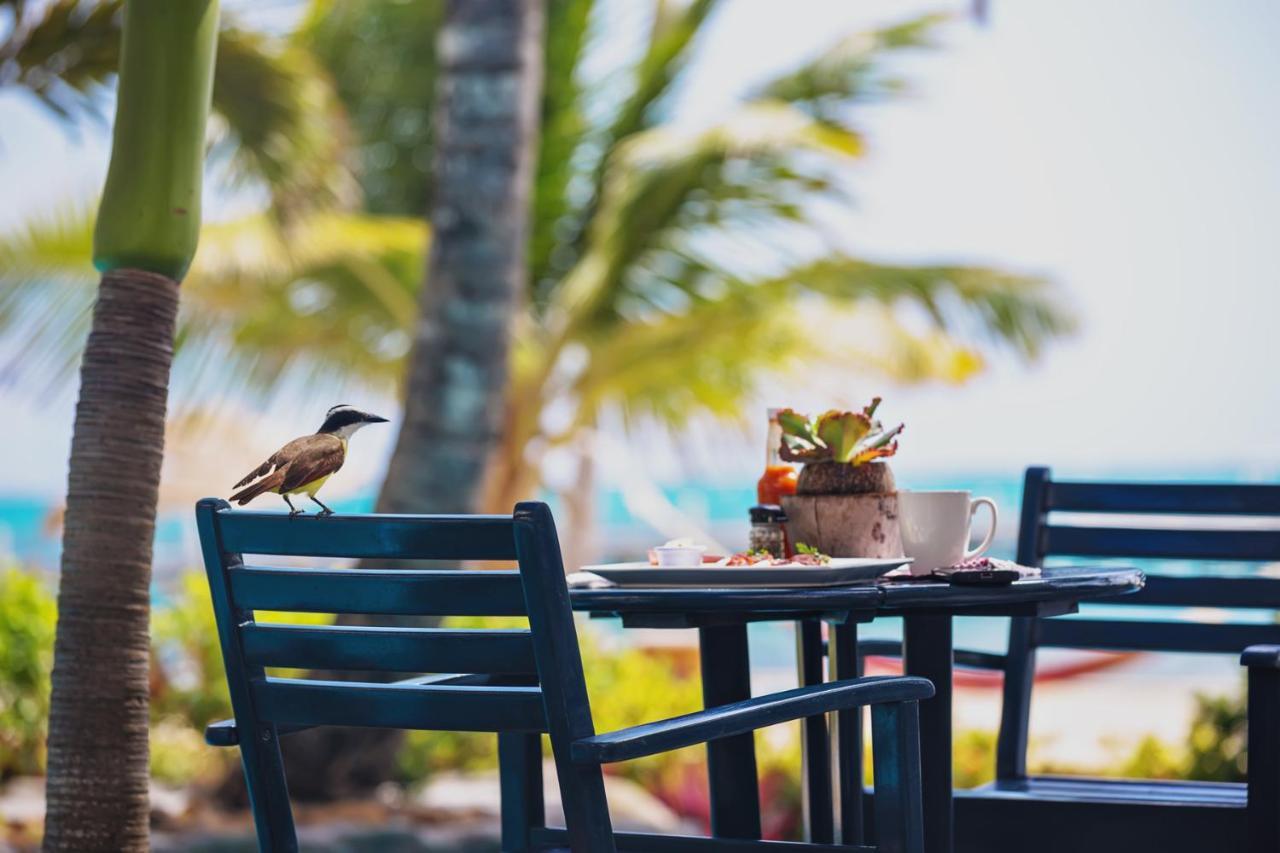 Pelican Reef Villas Resort San Pedro Kültér fotó